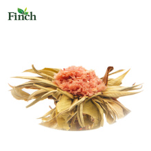 Bola de té de floración venta Finch Hot con clavel en el paquete de vacío